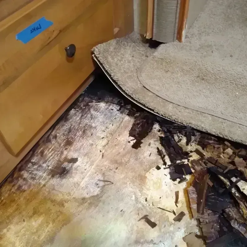 Wood Floor Water Damage in Cowlitz County, WA